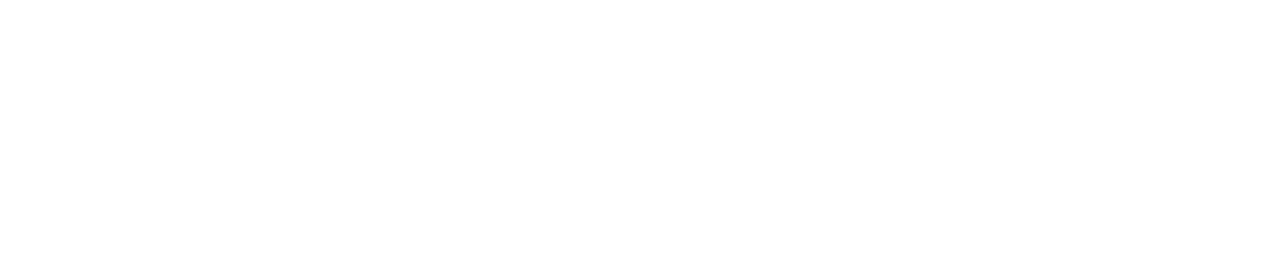 BackFare